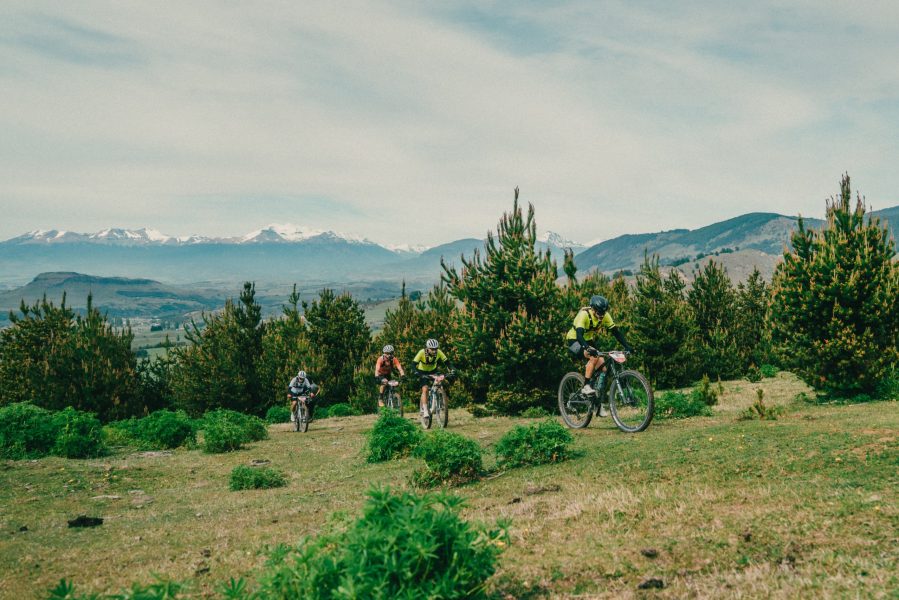 Titan-forest-patagonia-home.jpg
